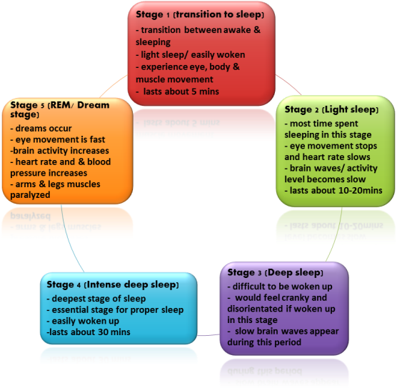 Sleep Cycle 5 Stages