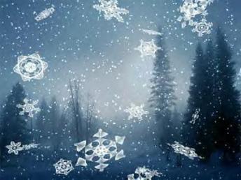 Snowflakes in forest