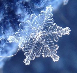 Stunning Snowflake